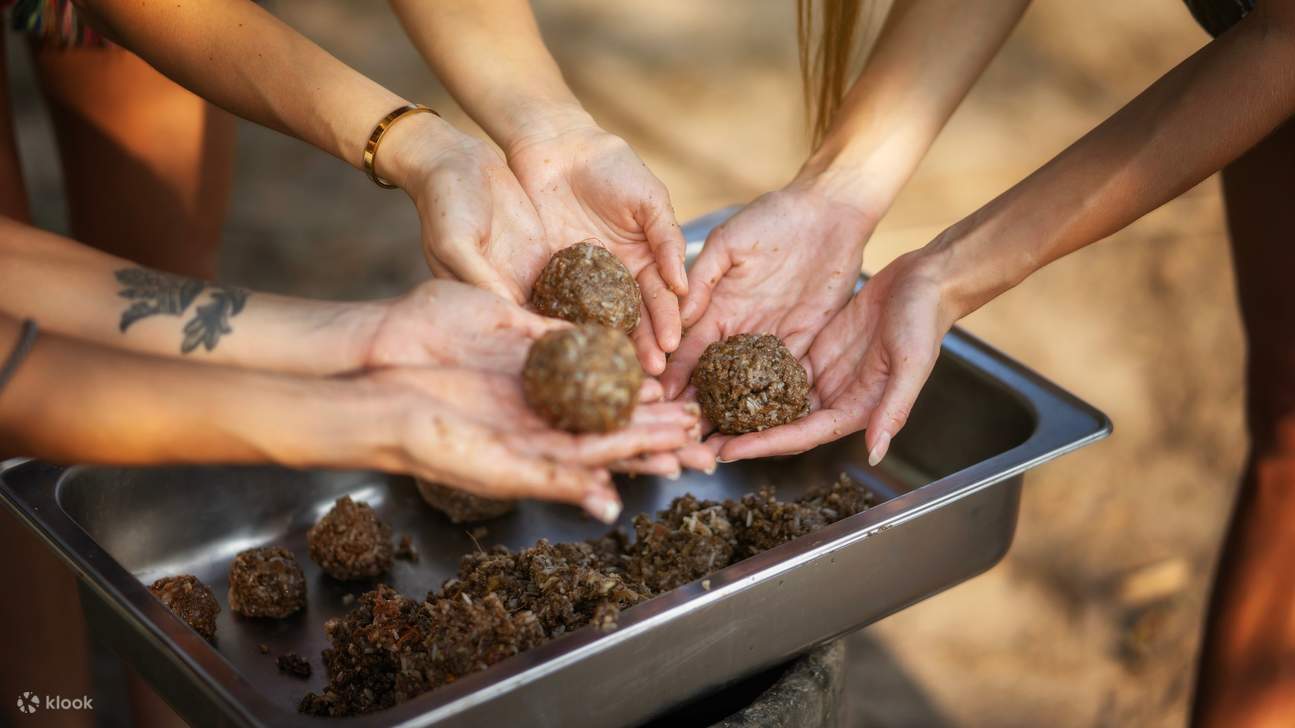 ゾウのために、ハーブを使った栄養満点のボールを手作りしましょう。